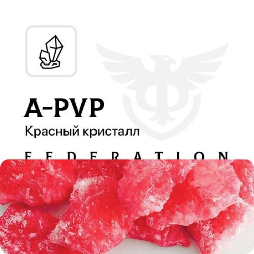 Федерация