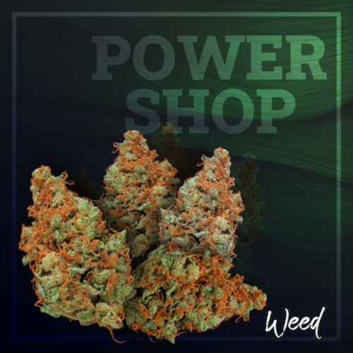 Power World Shop