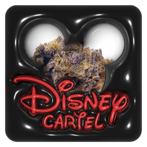 Disney Cartel